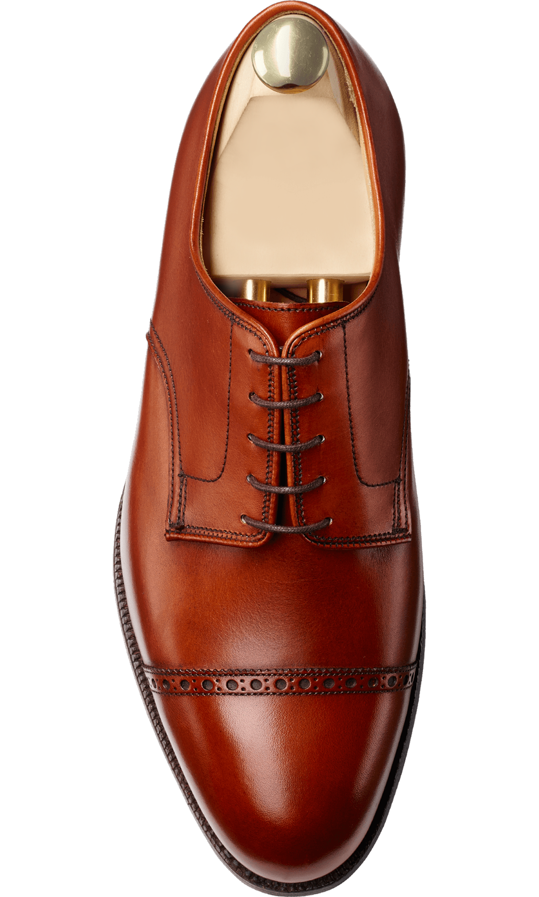 Dexter Derby Chestnut Burnished Calf