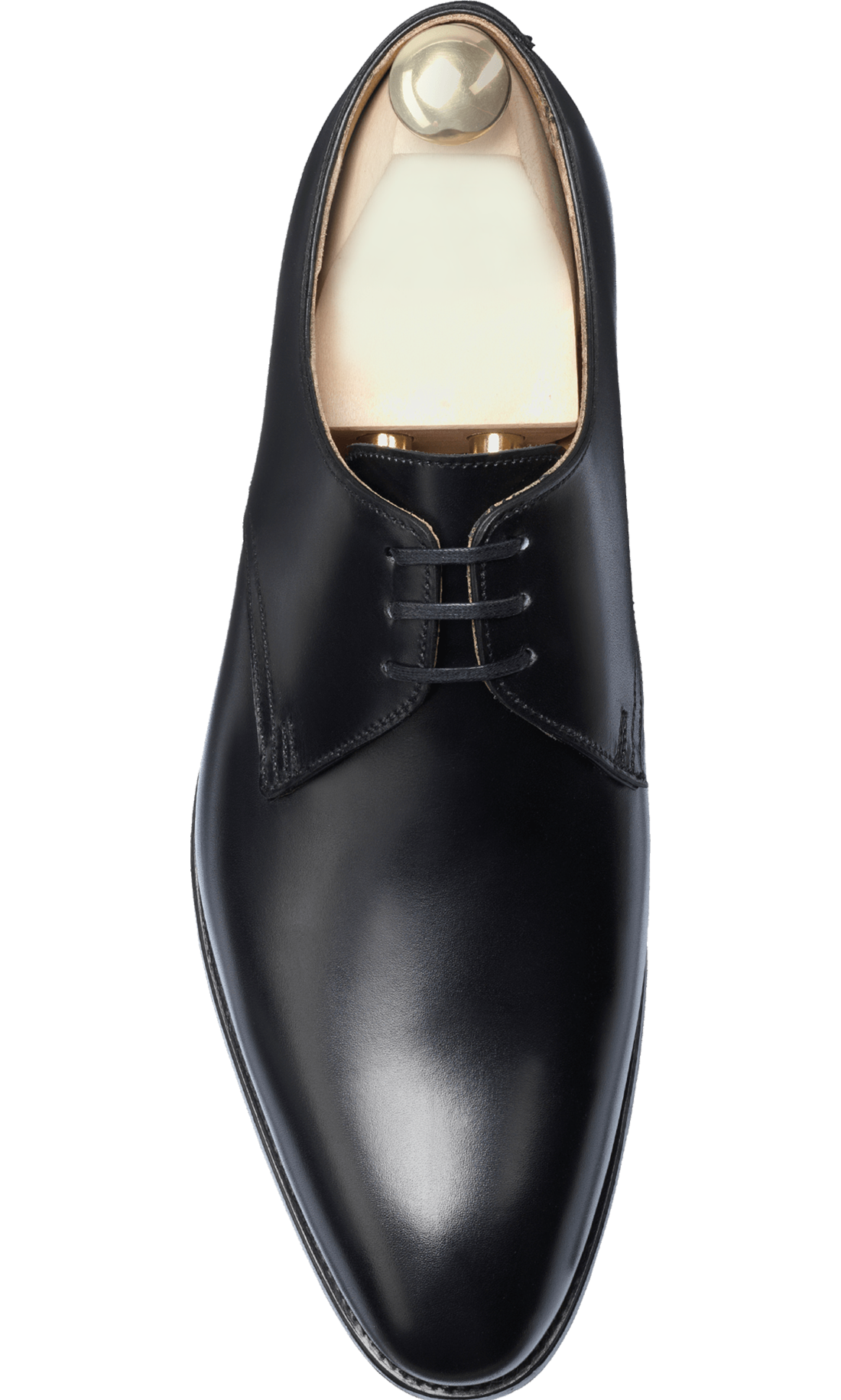 Hardy black Calf